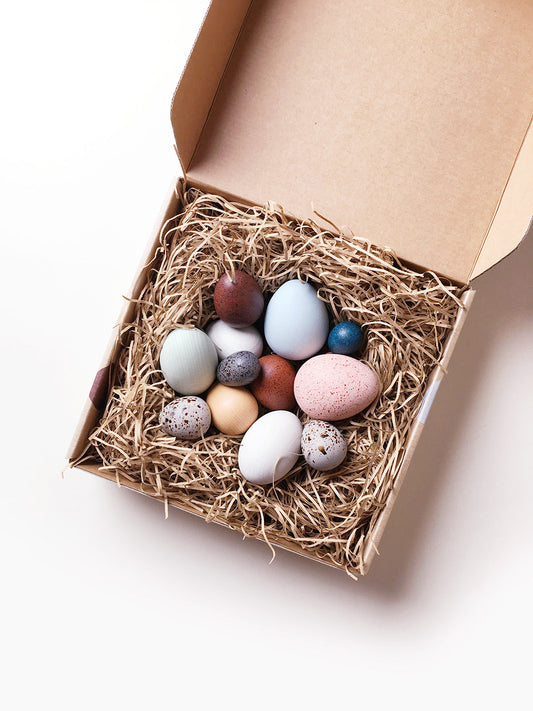 MoonPicnic | A Dozen Bird Eggs in A Box