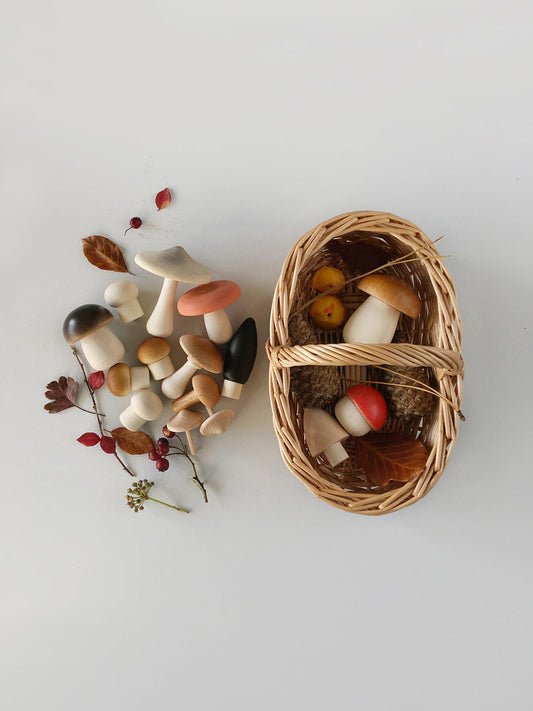 MoonPicnic | Forest Mushrooms Basket