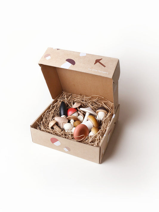 MoonPicnic | Forest Mushrooms in A Box