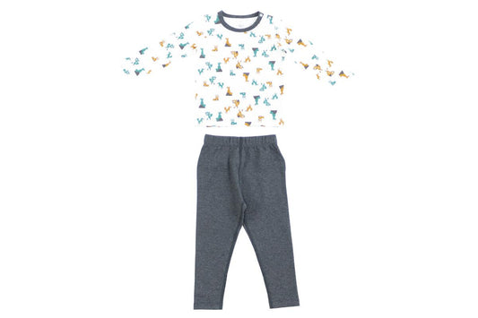 Organic Cotton Two-Piece PJ Set