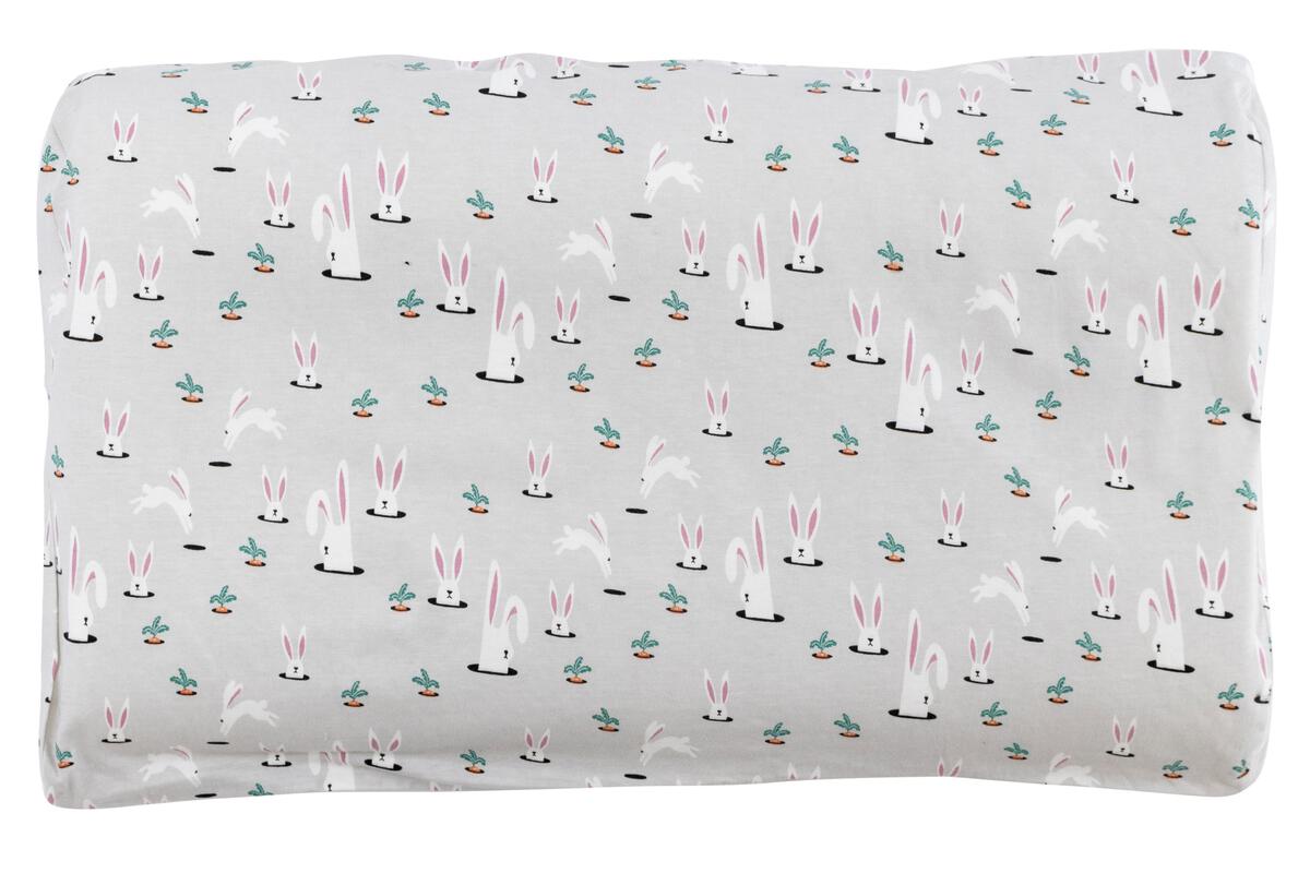 Organic Cotton Jersey Toddler Pillow with Pillowcase