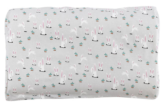 Organic Cotton Jersey Toddler Pillow with Pillowcase